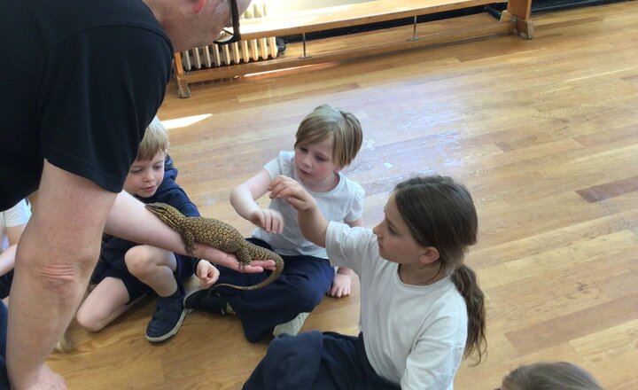 Image of A Bug‑Tastic Day to Remember in Early Years and Key Stage 1