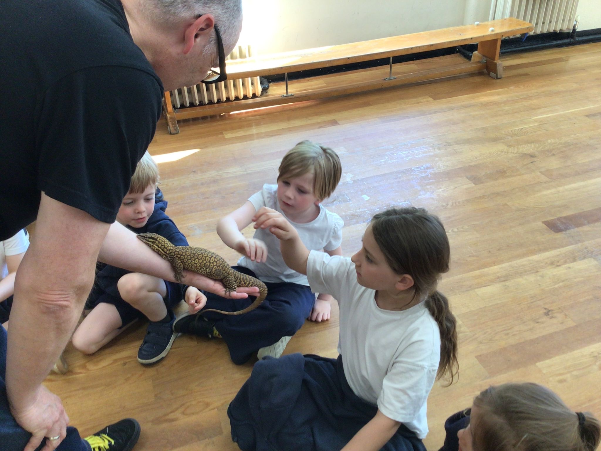 Image of A Bug‑Tastic Day to Remember in Early Years and Key Stage 1