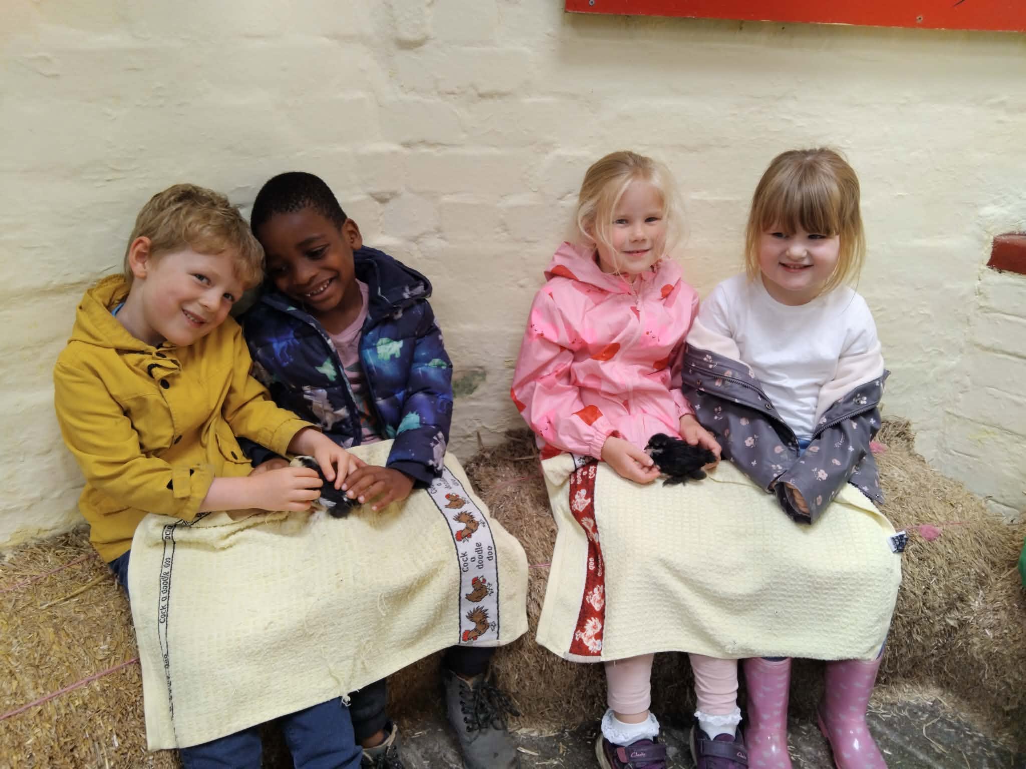 Image of Fun at the Farm: Reception Enjoy a Day to Remember