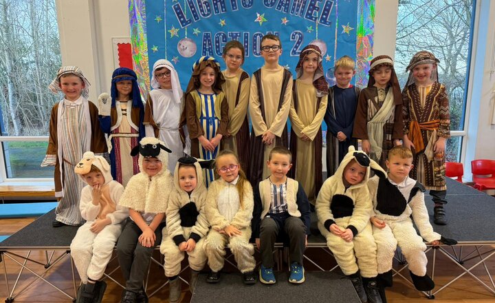 Image of Lights, Camel, Action – The Sequin!