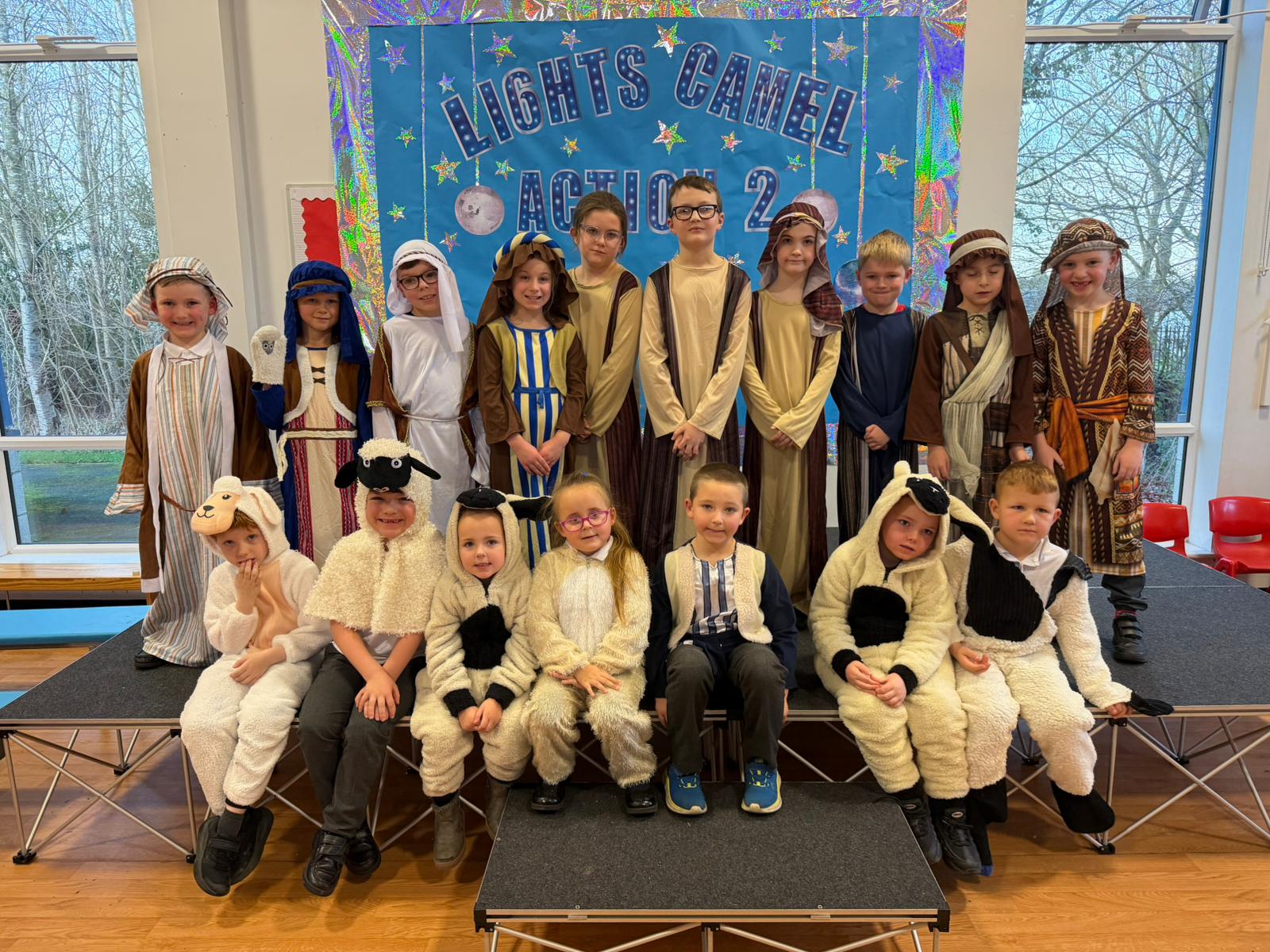 Image of Lights, Camel, Action – The Sequin!