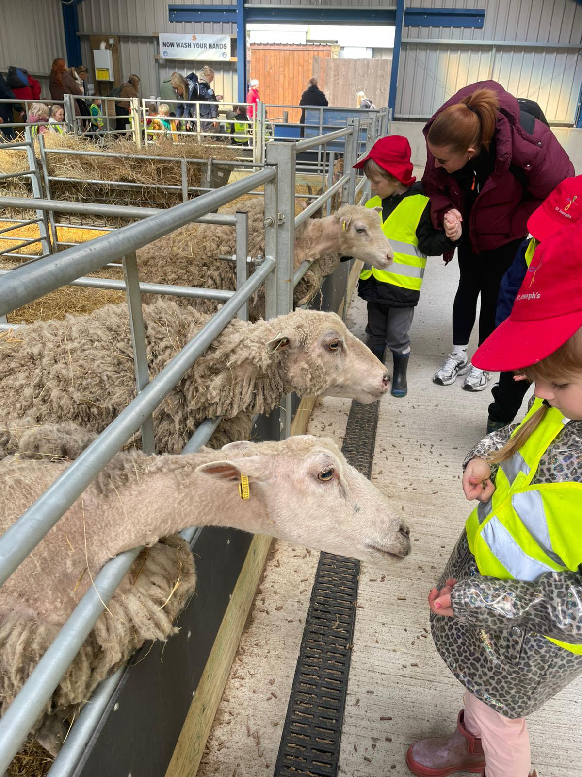 Farm Visit