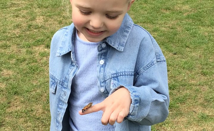 Image of From Caterpillar to Butterfly: A Magical Learning Journey