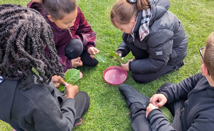 Image of Teamwork Shines During Forest School Session at St Joseph's Catholic Primary School