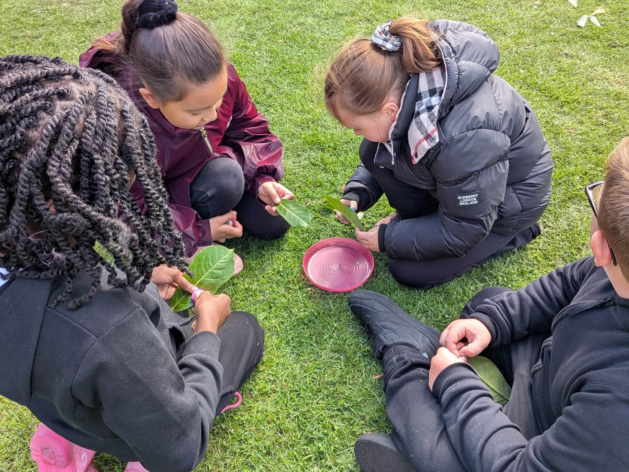 Image of Teamwork Shines During Forest School Session at St Joseph's Catholic Primary School