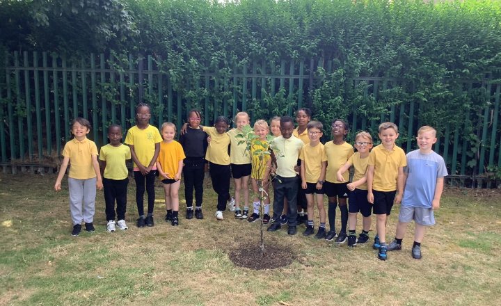 Image of Year 1 and Year 2 Begin Exciting Tree-Growing Journey