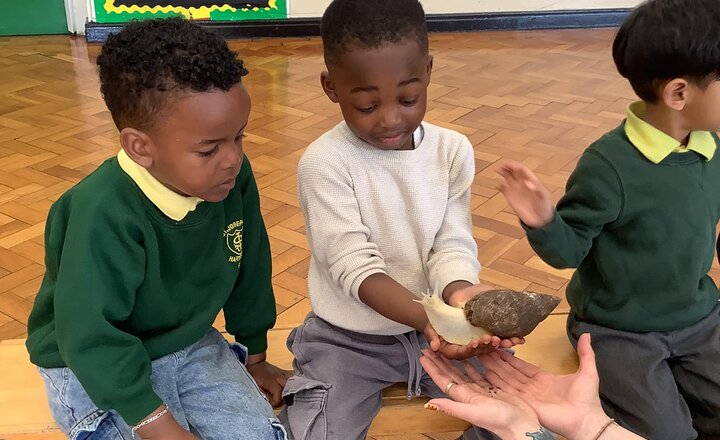 St Joseph's pupil handling a snail during their visit from Pets for People
