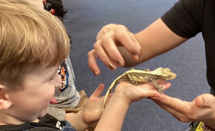 Animal experience celebration David Attenborough's 100th Birthday