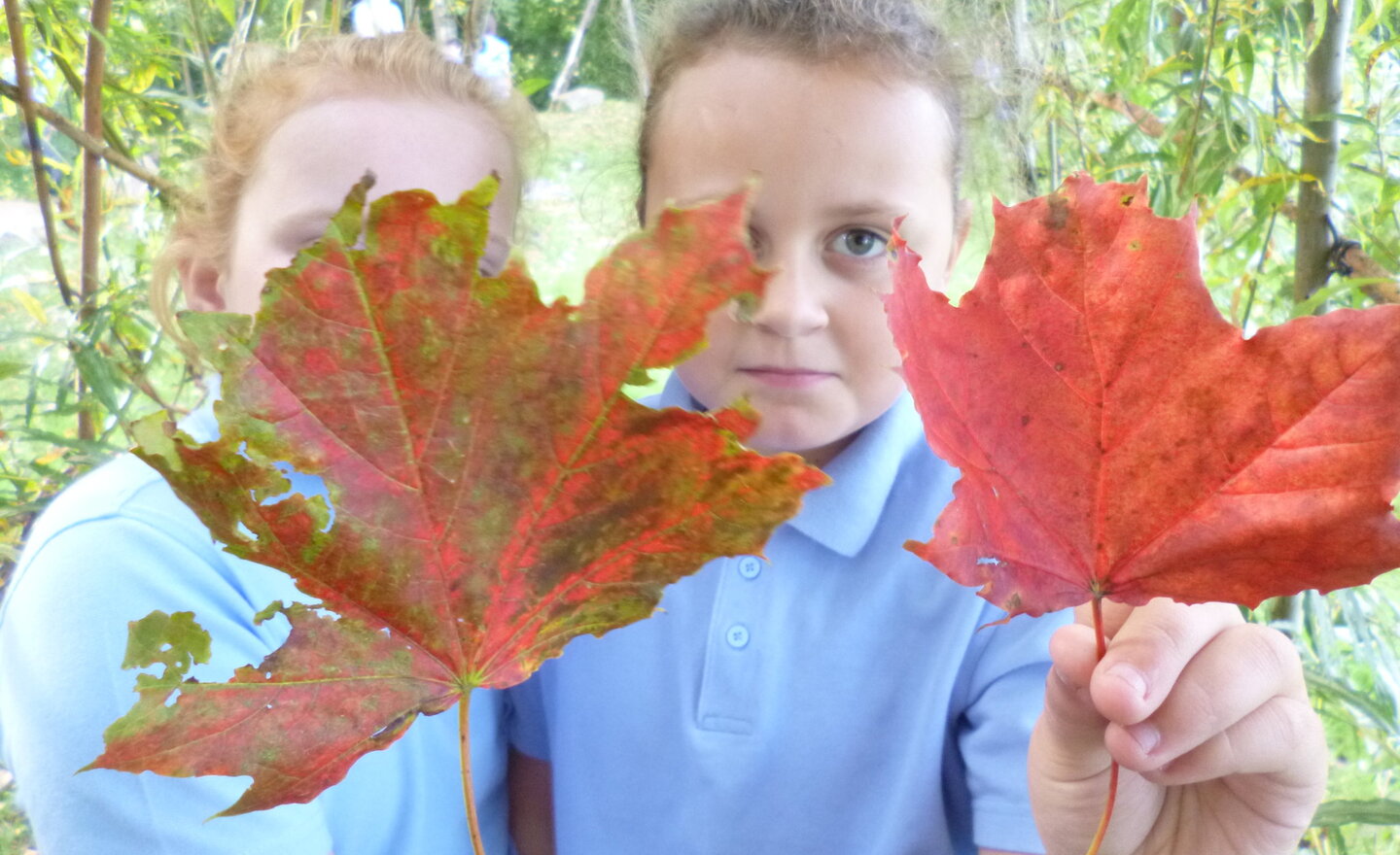 Image of Autumn in Birkacre