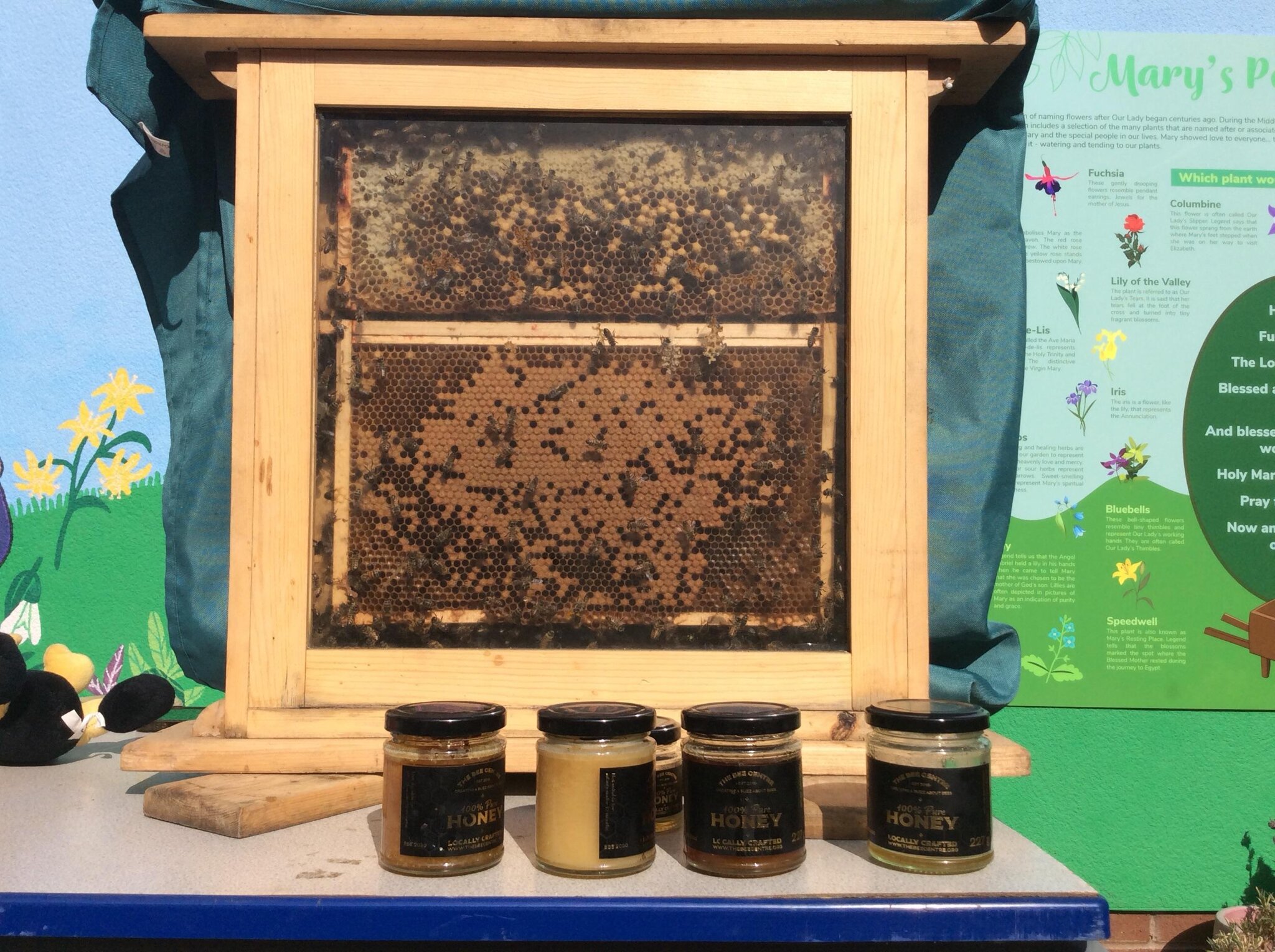 Image of Buzzing for Bees!