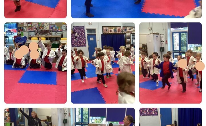 Image of Infant Judo Sessions