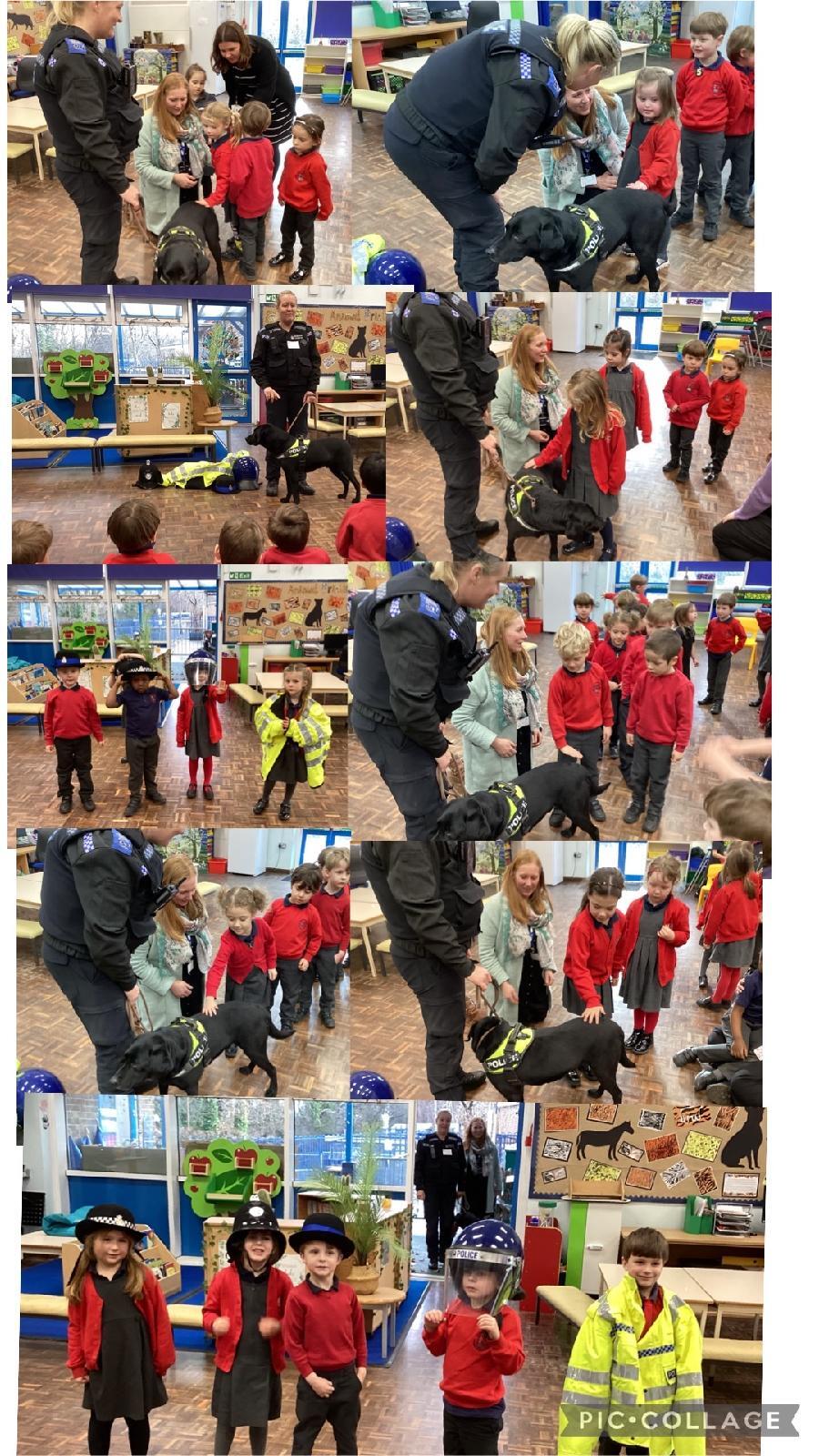 Image of Police dog visit to Reception