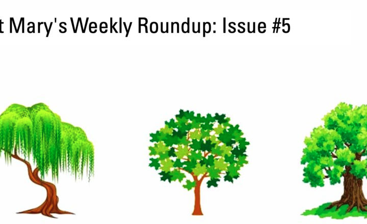 Image of St Mary's Weekly Roundup: Issue #5