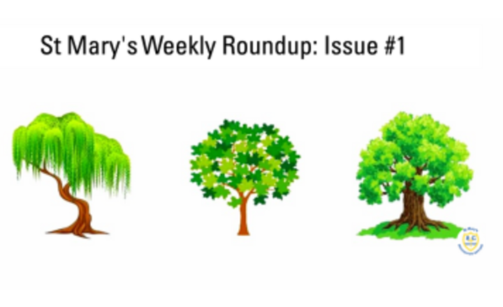 Image of St Mary's Weekly Roundup Autumn Term 1 24-25: Issue #1