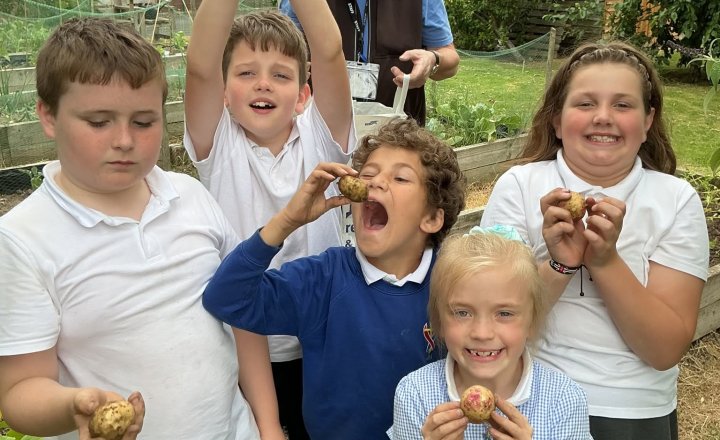 Image of School Garden Harvest Brings Exciting Results