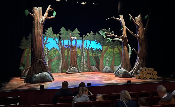 Image of St Mary’s Catholic Primary School Pupils Enjoy Magical Gruffalo Theatre Trip