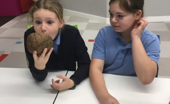 Image of Year 6 Visit the Winter Gardens