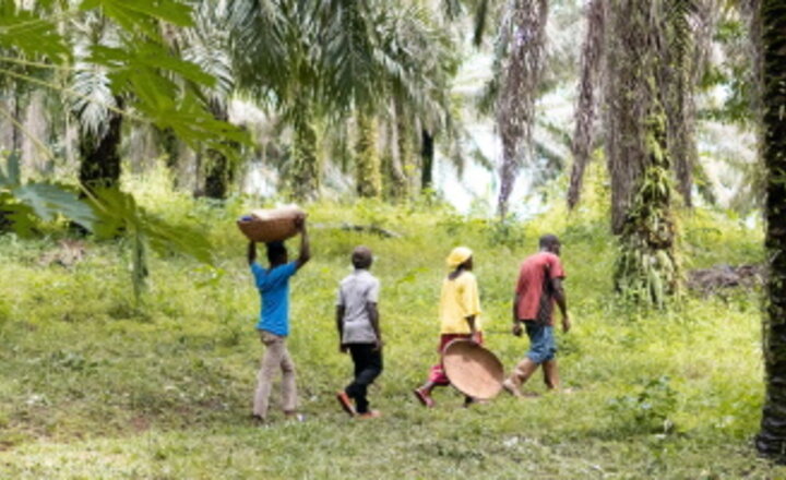 Image of Fairtrade Fortnight