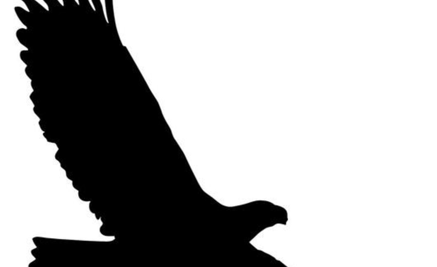 Image of IMPORTANT: Care Club information