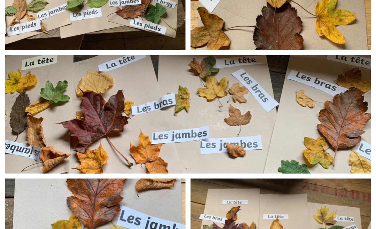 Image of French outdoor learning