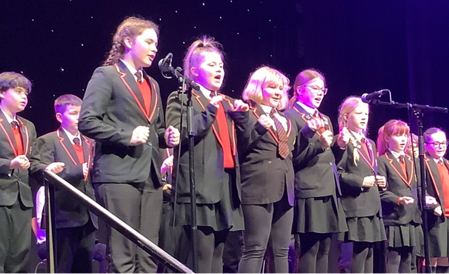 Image of Manchester Camerata