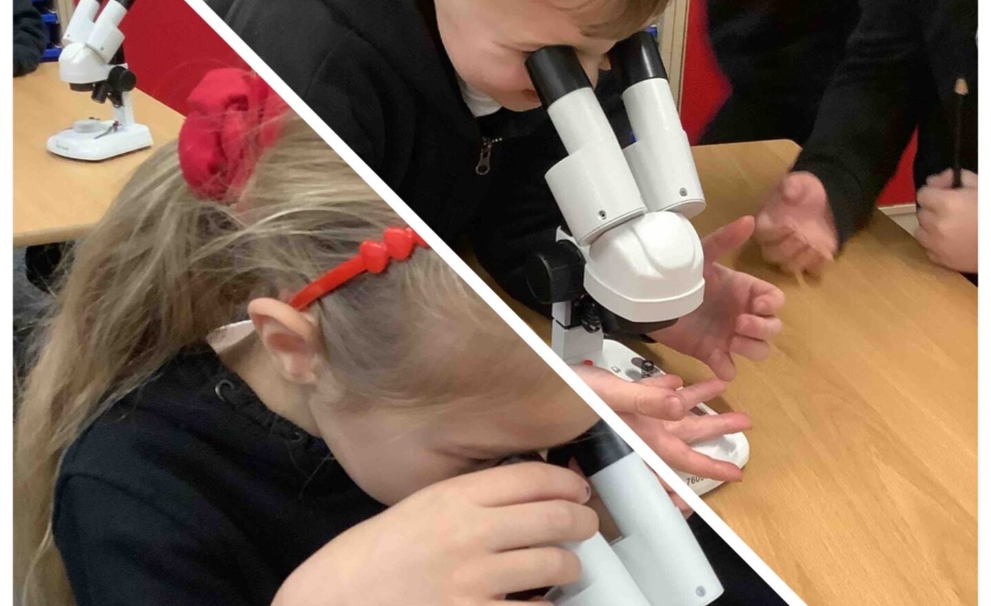 Image of What can you see?