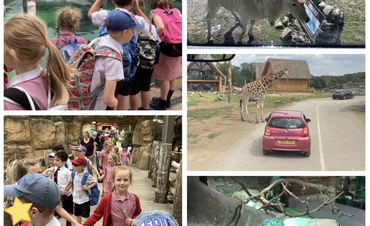 Image of West Midlands Safari Park