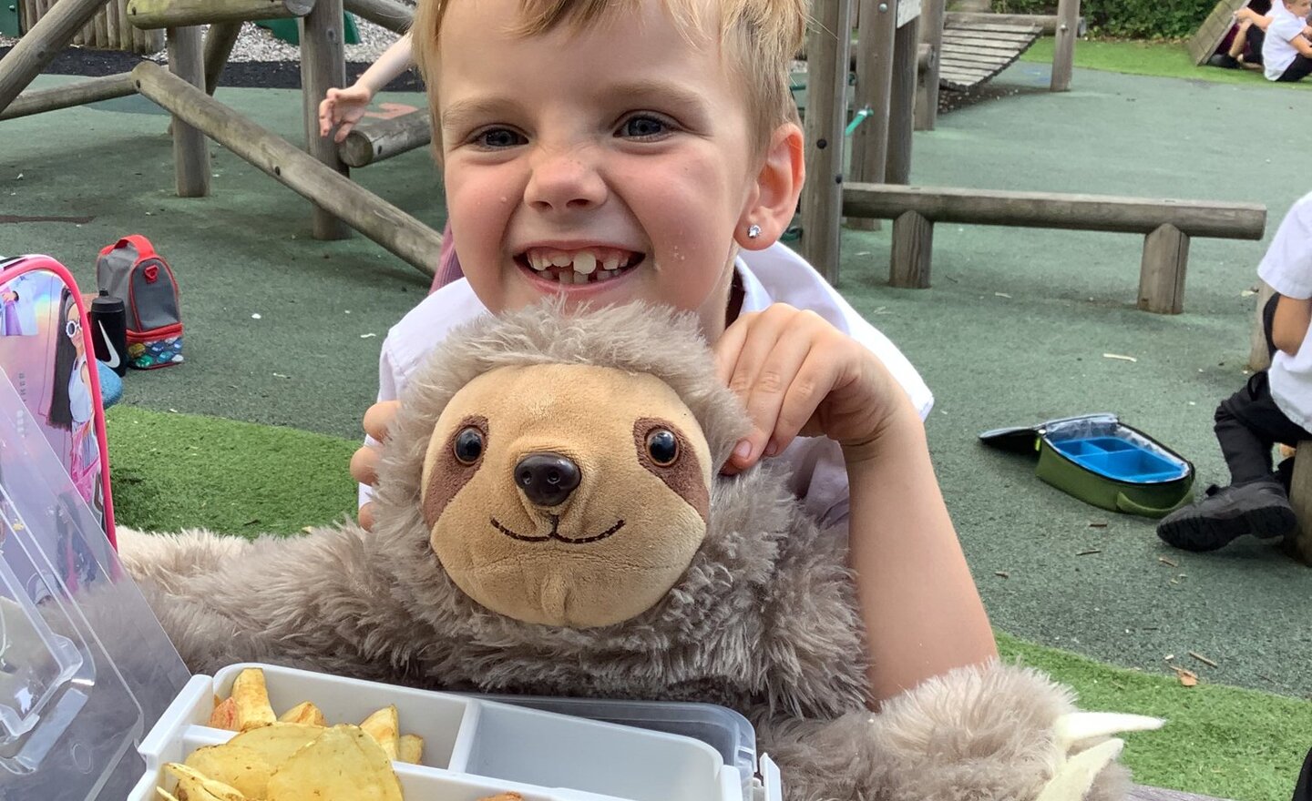 Image of Teddy Bears Picnic