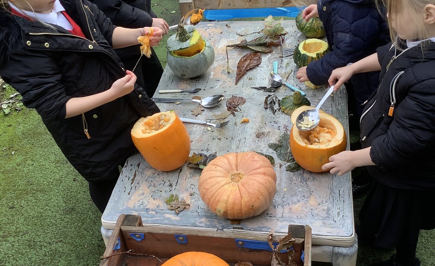 Image of Exploring pumpkins! 