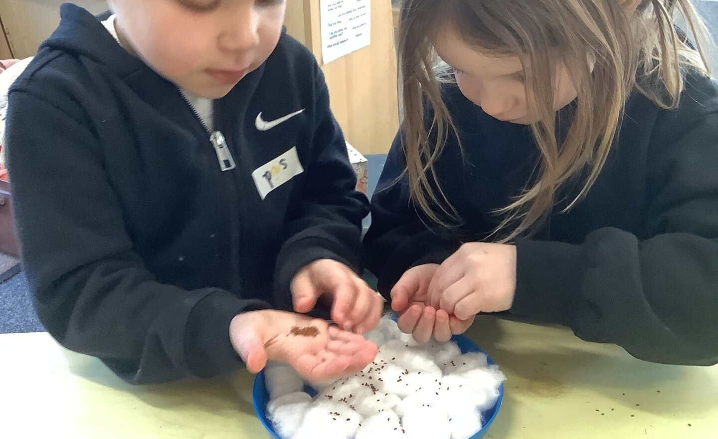 Image of The parable of The Seed Sower!