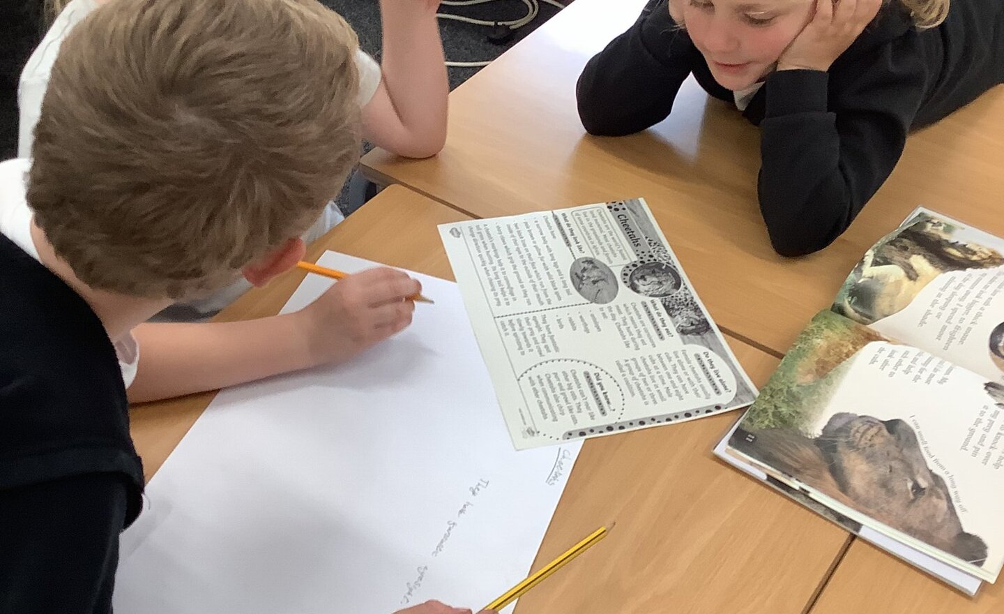 Image of Researching African Animals