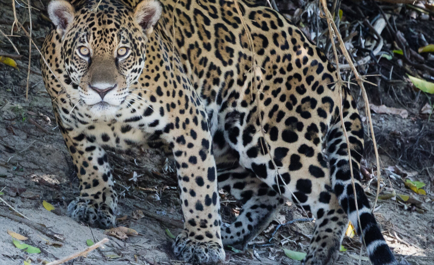 Image of Doing our bit for the wider World...