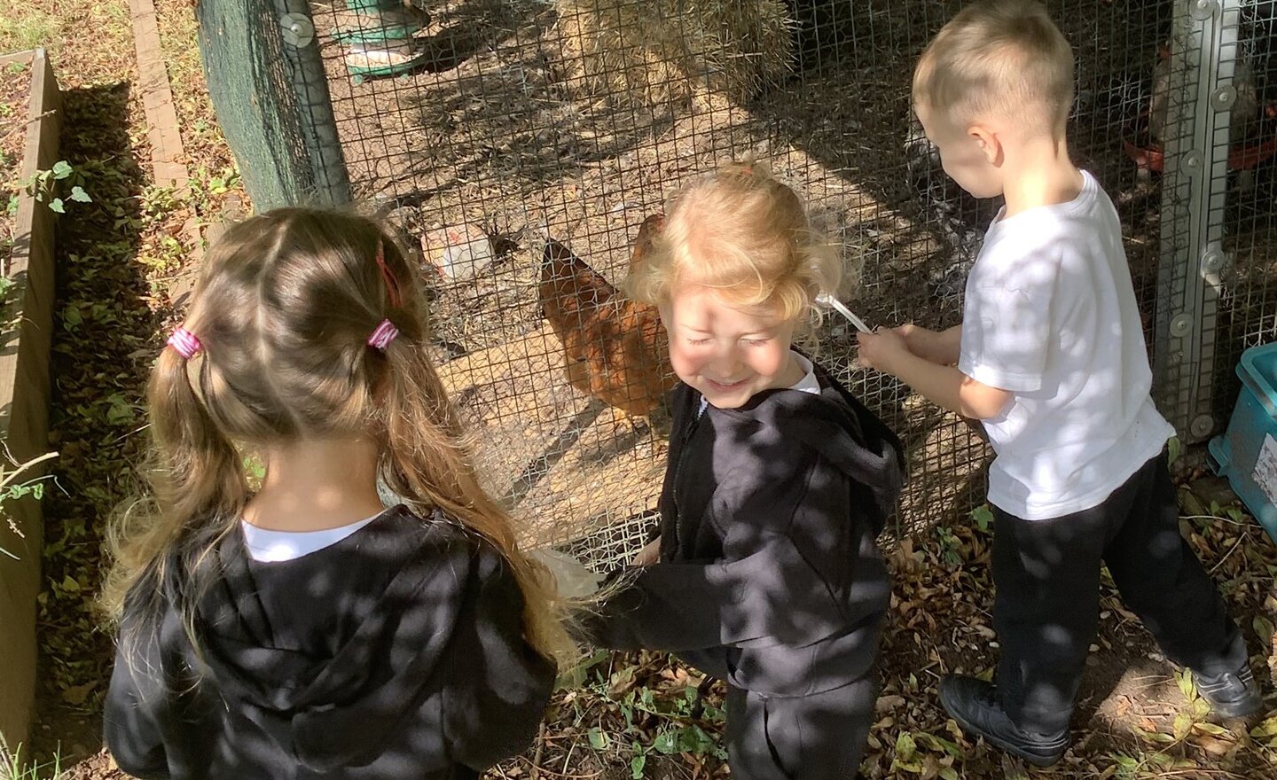 Image of A listening walk!