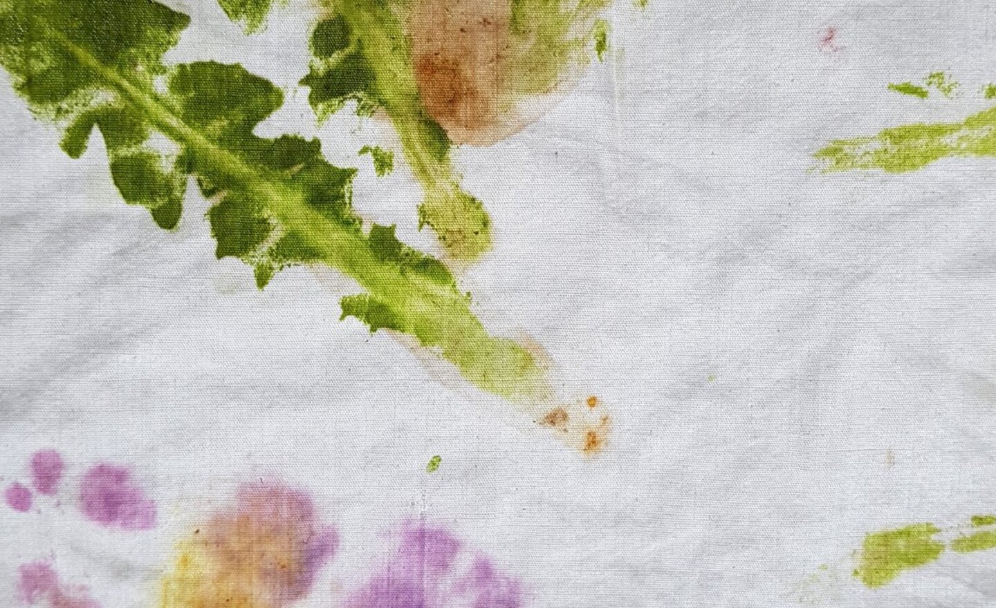 Image of Forest school fun goes on...