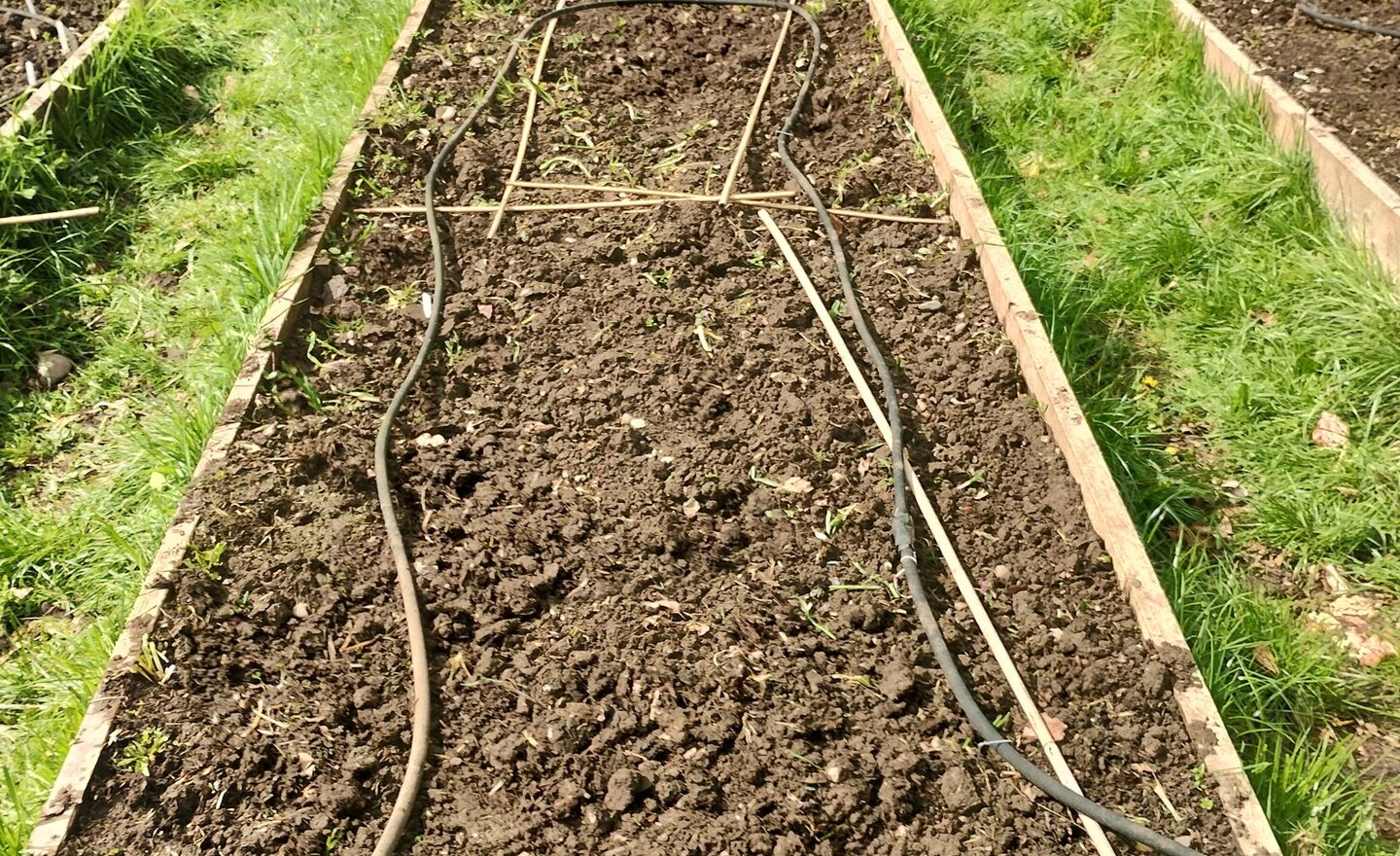 Image of Gardening going great!