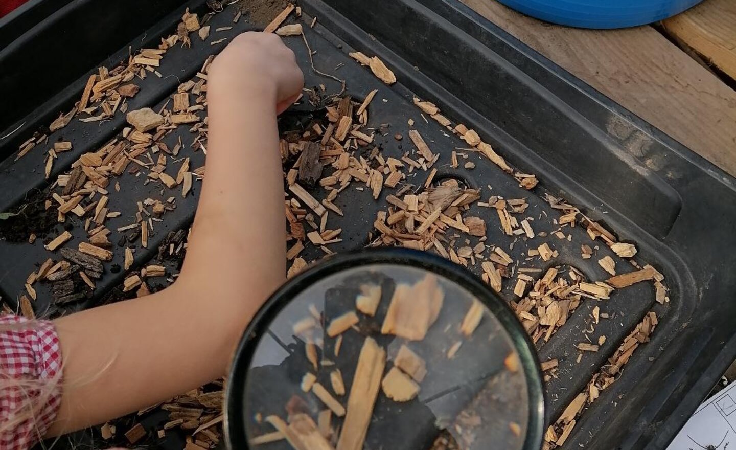 Image of Bug hunting