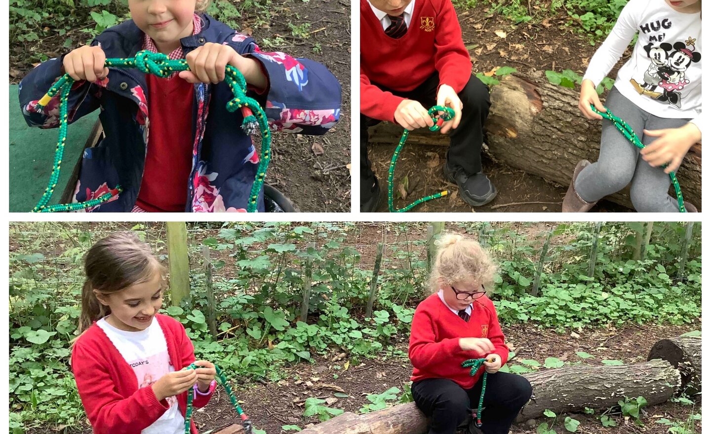 Image of Knots of fun!