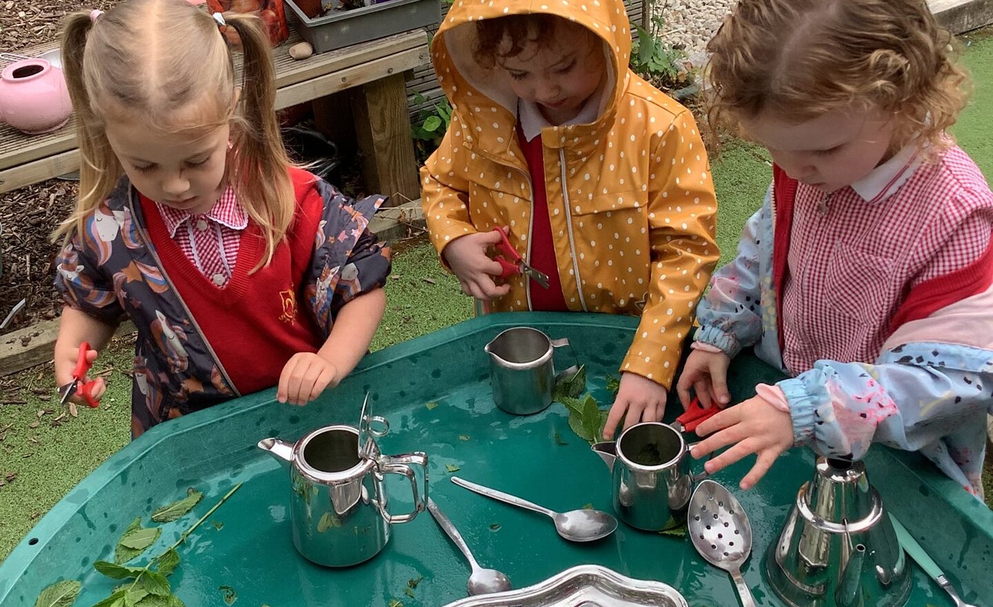 Image of Making peppermint tea!