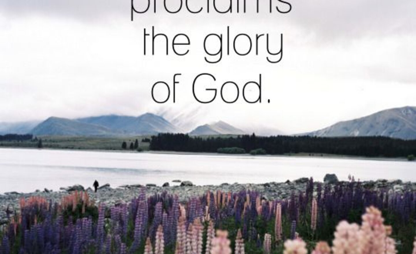 Image of Our Pupil Voice....