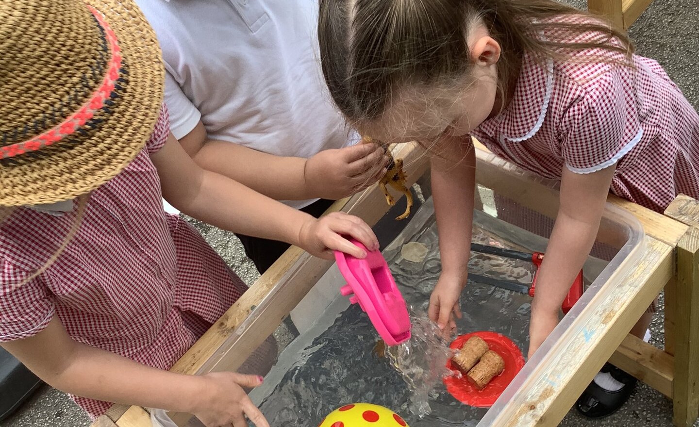 Image of Will it float or will it sink? What do you think? Will it float or will it sink?