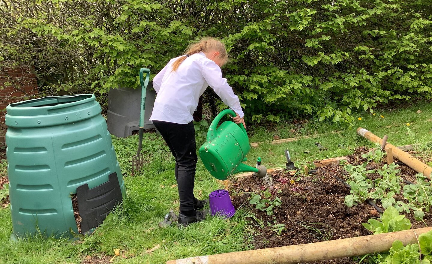 Image of Un-beet-able gardening!