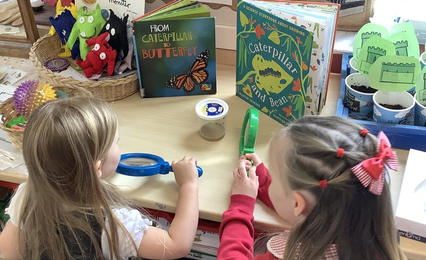 Image of What is growing in class one?