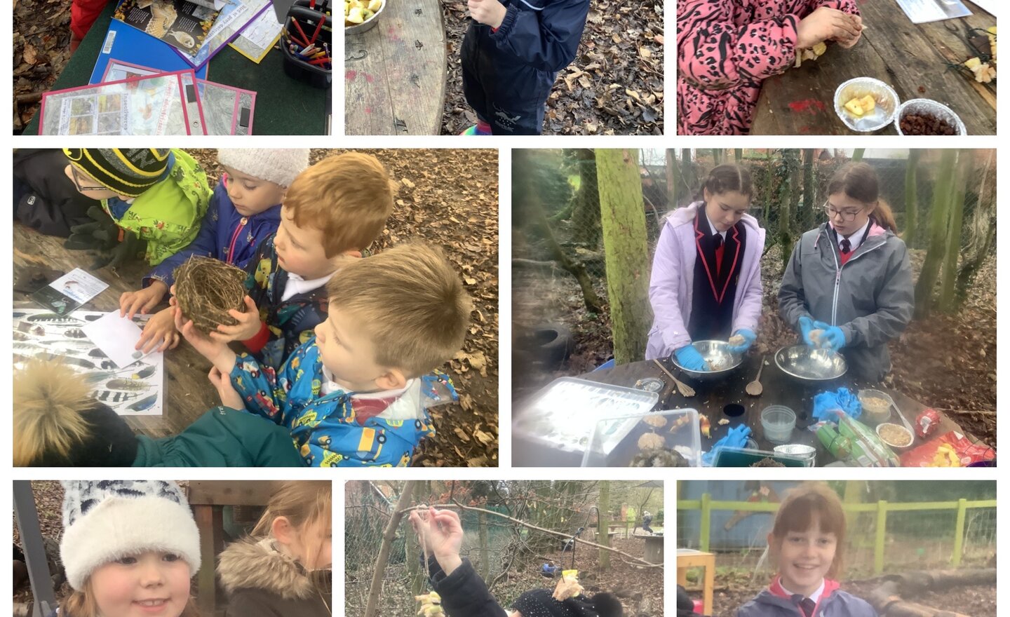 Image of Bird Feeders