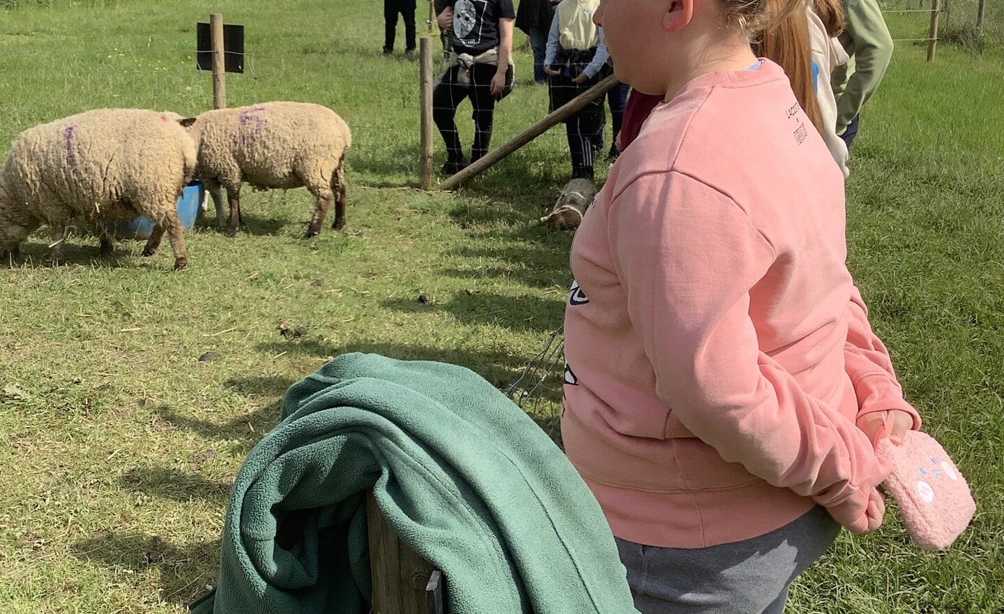 Image of Packington Farm Trip