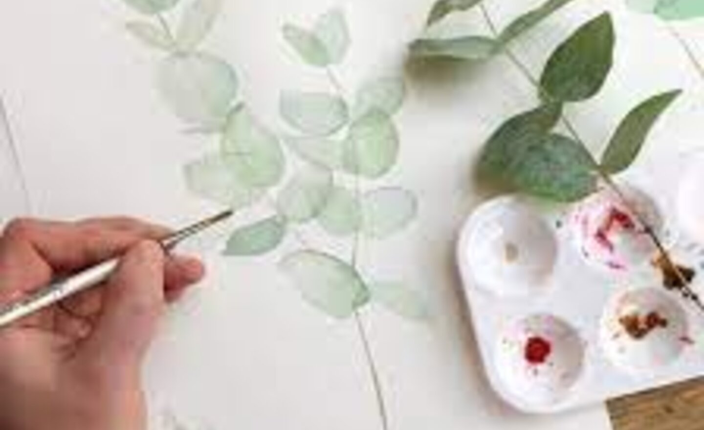 Image of FIRST WEEK BACK!!!!!!