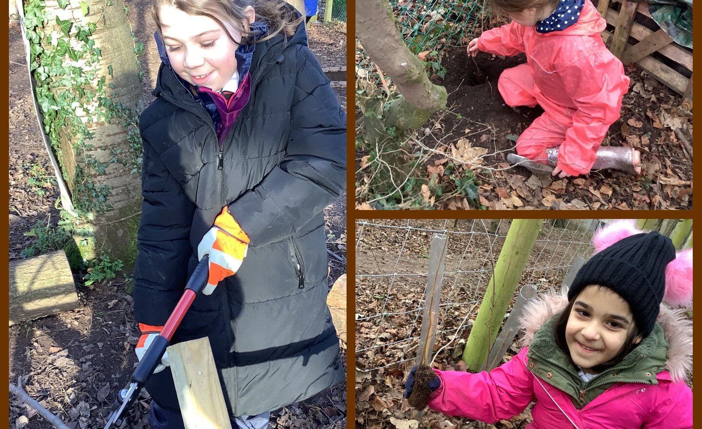 Image of Tools and trees