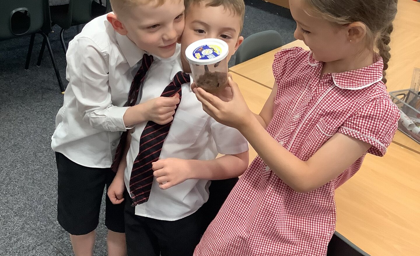 Image of Class 2’s Caterpillars