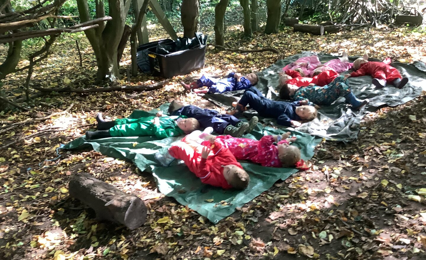 Image of Meditation in the woods!