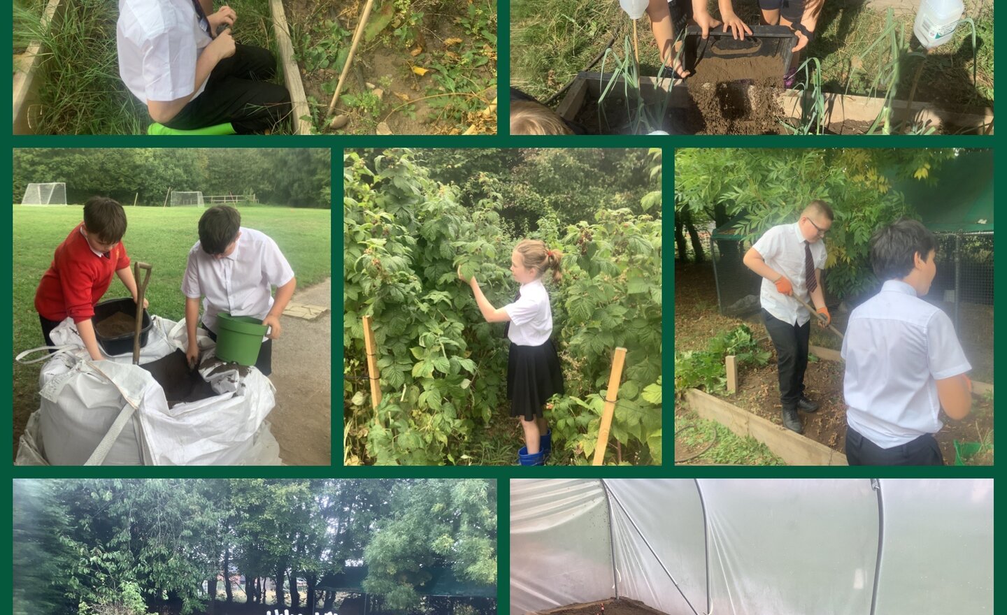 Image of Green fingers