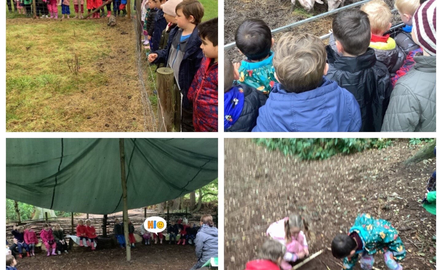 Image of Packington farm trip